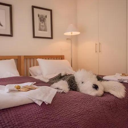 Apartamento Roossi 2 *