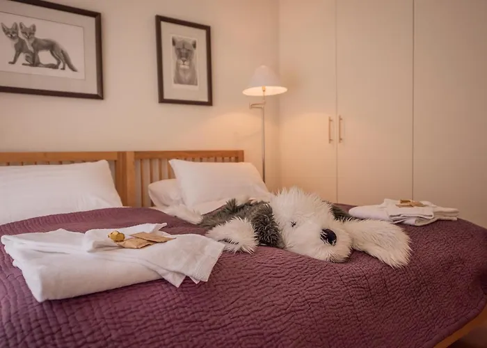 Apartamento Roossi 2 *